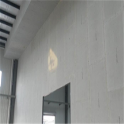 巴东宁波ALC板|EPS加气板隔墙与混凝土整浇联接的实验研讨